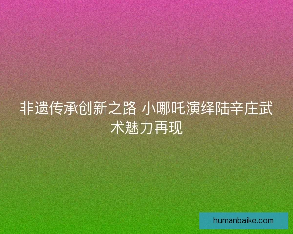 非遗传承创新之路 小哪吒演绎陆辛庄武术魅力再现